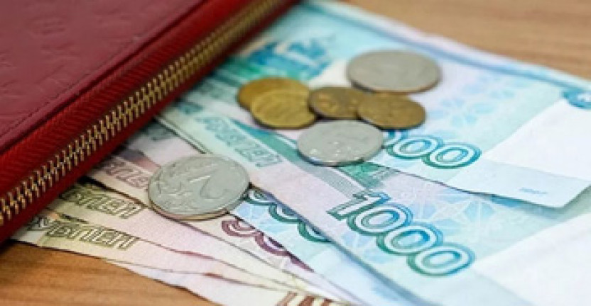 Среднемесячная начисленная заработная плата работников бюджетных учреждений Новосибирской области