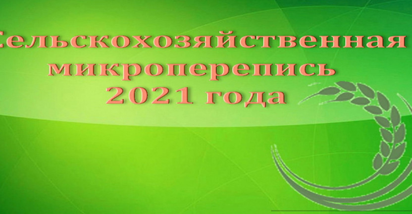 О подготовке к проведению сельскохозяйственной  микропереписи 2021 года