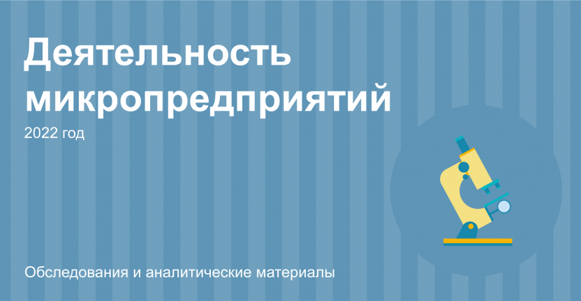 Деятельность микропредприятий Новосибирской области в 2022 году